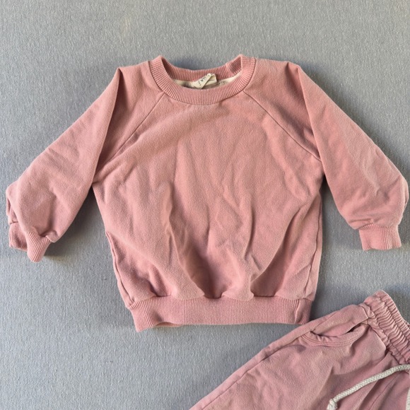 Sage + Ivory Baby Sweatshirt & Sweatpants Set 2T Light Pink Outfit - Picture 3 of 13